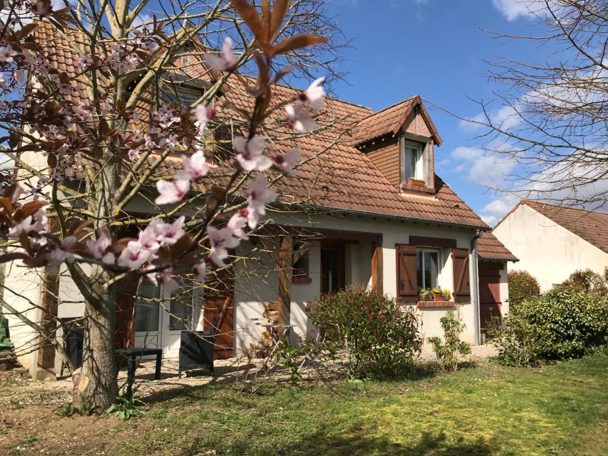 Au Coeur Des Chateaux Cheverny Zewnętrze zdjęcie
